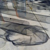 Lacey Stoffer's photo
