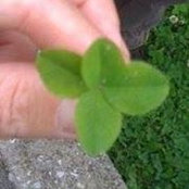 Blayne Borden's photo