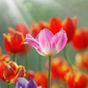 Beth Gaspard's photo