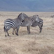 Beatrice Muliahela's photo