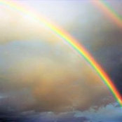 RainbowCoalition SA's photo