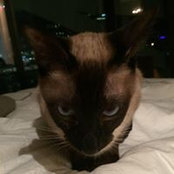 Vaughn Miller's photo
