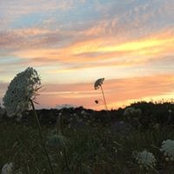 Elizabeth Simpson's photo