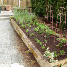 Landscape Ideas