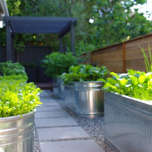Gardening IDeas