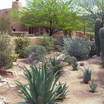 Desert House