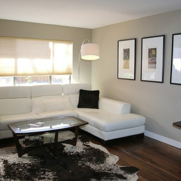 Easy condo remodel