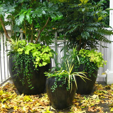 Planter And Pots