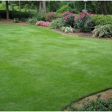 Lawn and landscape ideas and installation