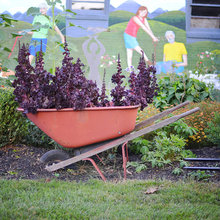 Landscape Ideas