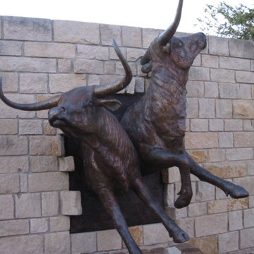 Longhorn Wall