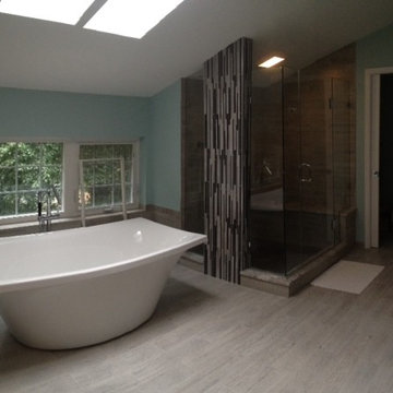 Bathroom Remodel Project