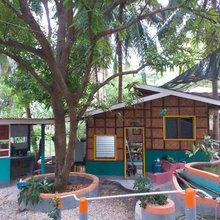 Bahay kubo (native house)