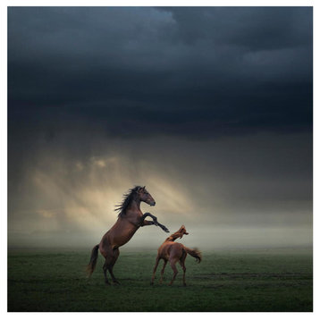 "Horses Fight" Digital Paper Print by Huseyin Taskin, 32"x32"
