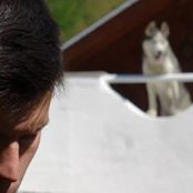Liviu Vasilescu's photo
