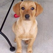 Patsy Krass's photo