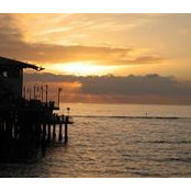 Sam Grant's photo