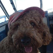 Sherry Schenk's photo