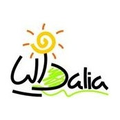 Dalia Abou El Magd's photo