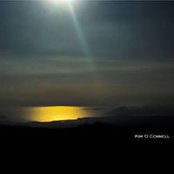Kim O Connell's photo