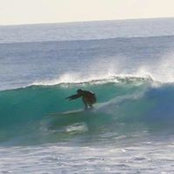 Adam Lain's photo