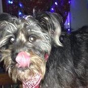 Joel Christensen's photo