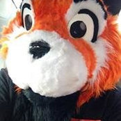 Foto von Jackal Redpaws