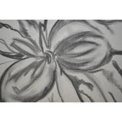 Lynn Scherbarth_Mills's photo