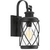 Hollingsworth 1-Light Outdoor Wall Lantern, Black, Clear Seeded Glass