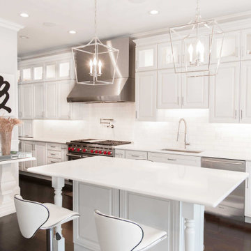 Wicker Park Kitchen Remodel