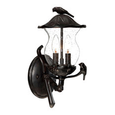 Acclaim Lighting 7551 Avian 2 Light 16.5"H Outdoor Wall Sconce - Black Coral /