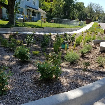 Storm Water Management Landscaing Projects