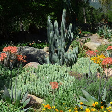 gardens