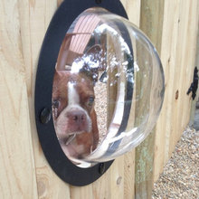 Dog Additions to a House