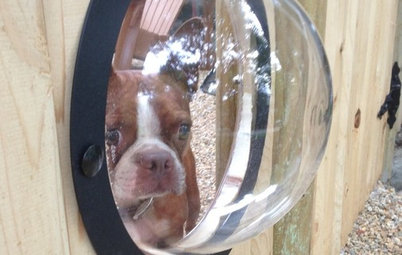 Houzz Call: Show Us Your Pet Projects!