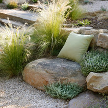 Plants I like