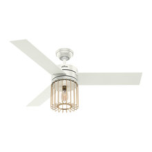 Ceiling Fans