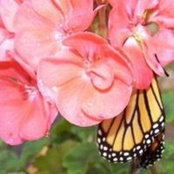 Misti Foley Graham's photo