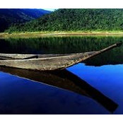 Mujahidul Islam's photo