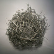 Artem Shevchenko's photo