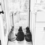 Robert King's photo
