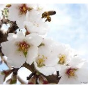 Kathy Mccranie-Mitchell's photo
