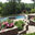 Landscape Dynamix