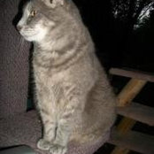 Chris Bauer's photo