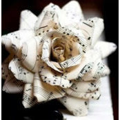 Rebecca J Woods's photo