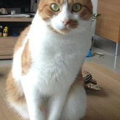 Diana Debono's photo