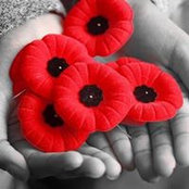 Terri Buchanan-Lynch's photo