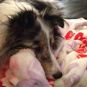 Lisa Giese's photo
