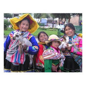 Phyllis Green's photo
