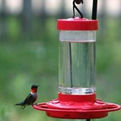 Bo Roeder's photo